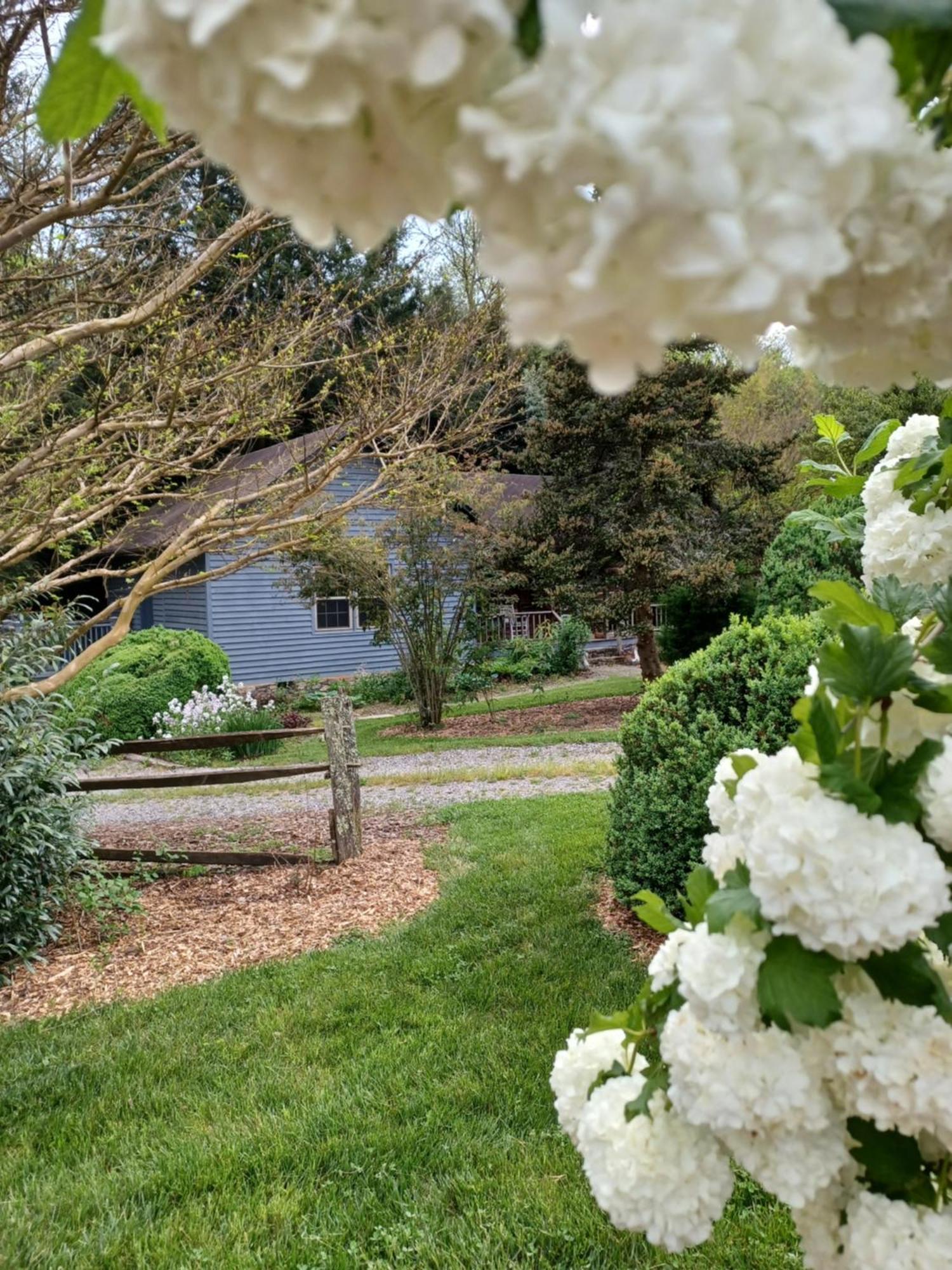 Restored1850S Log Cabin, With Gazebo And Gardens! 1 Mile To Downtown Weaverville Ngoại thất bức ảnh