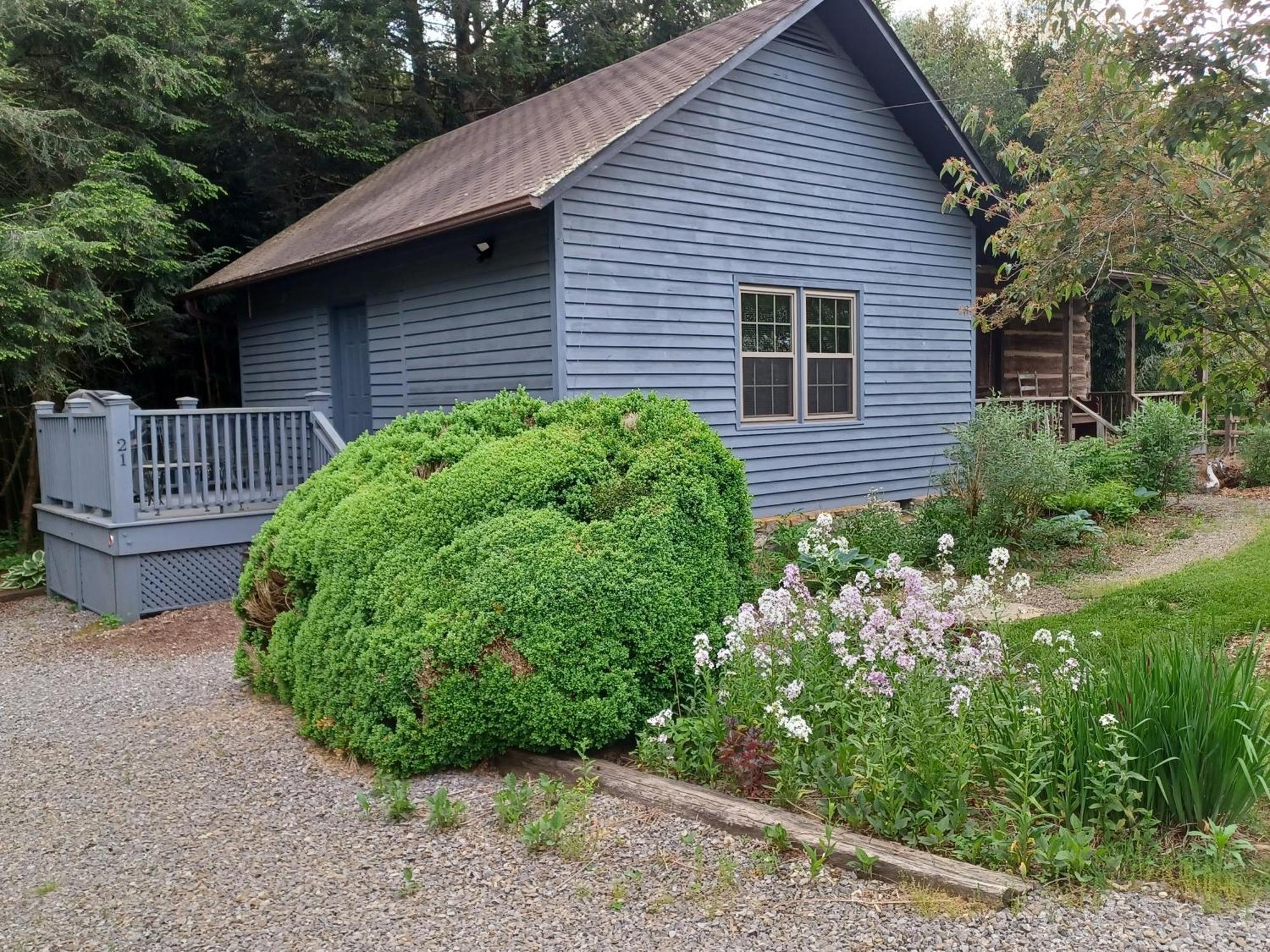 Restored1850S Log Cabin, With Gazebo And Gardens! 1 Mile To Downtown Weaverville Ngoại thất bức ảnh