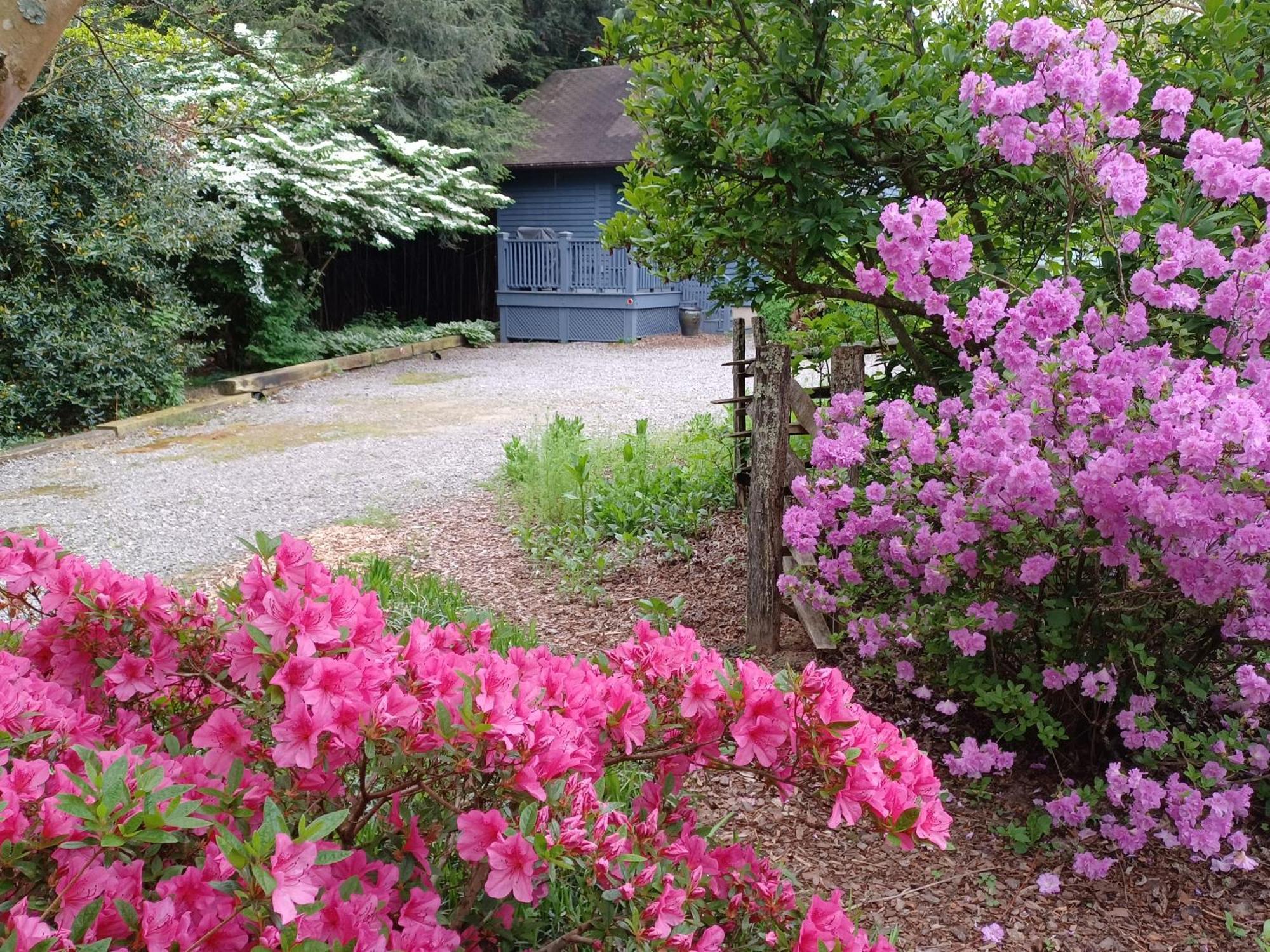 Restored1850S Log Cabin, With Gazebo And Gardens! 1 Mile To Downtown Weaverville Ngoại thất bức ảnh