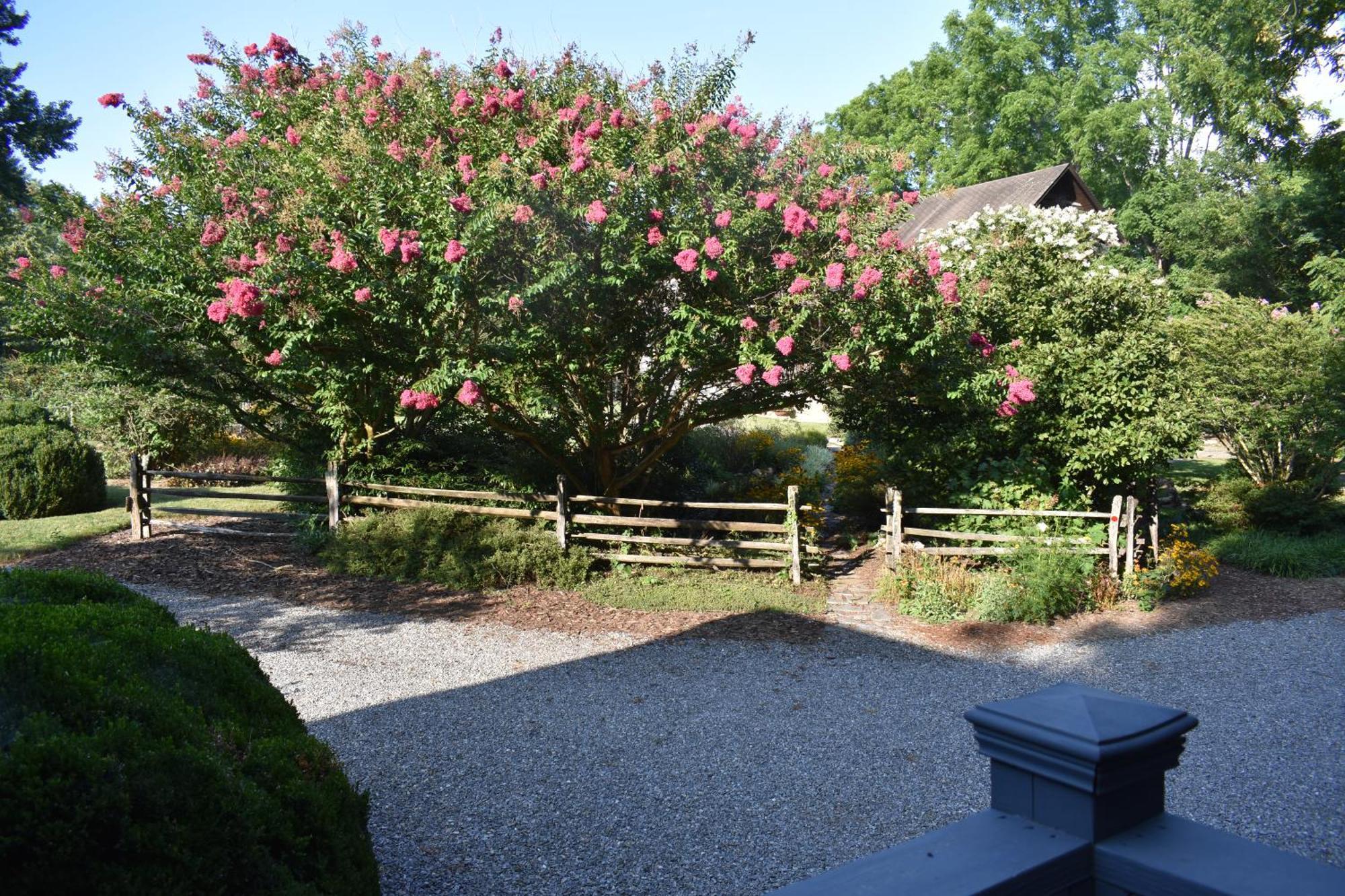 Restored1850S Log Cabin, With Gazebo And Gardens! 1 Mile To Downtown Weaverville Ngoại thất bức ảnh